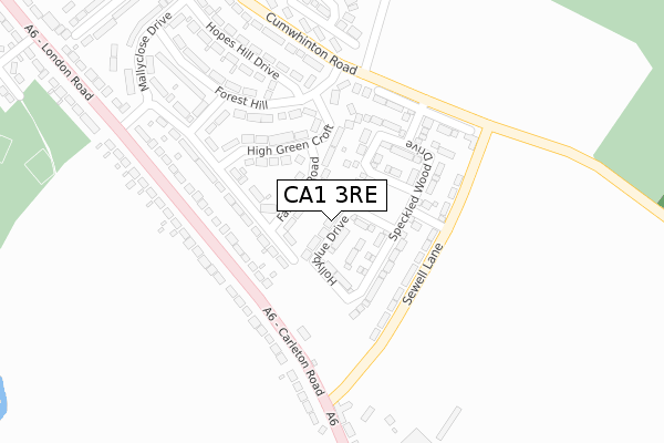 CA1 3RE map - large scale - OS Open Zoomstack (Ordnance Survey)