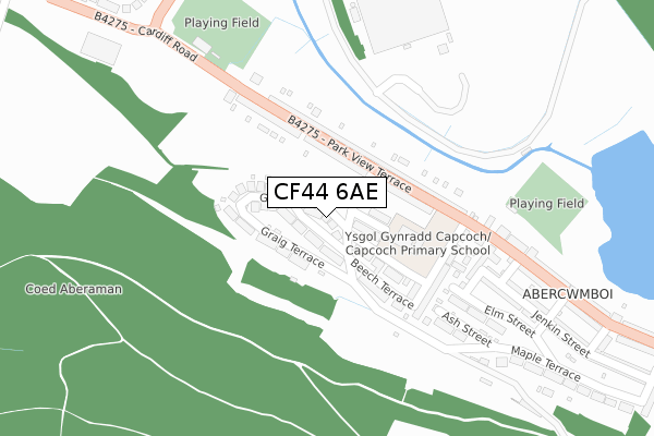CF44 6AE map - large scale - OS Open Zoomstack (Ordnance Survey)