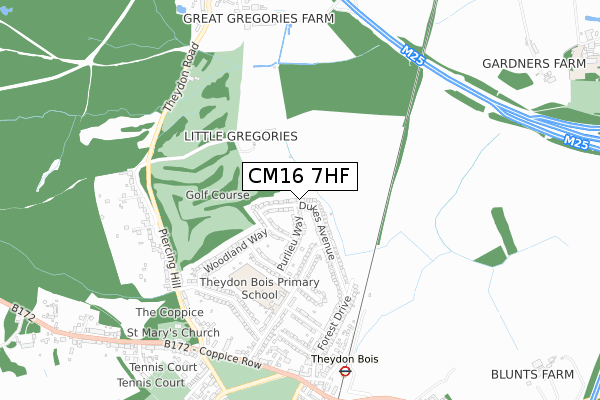 CM16 7HF map - small scale - OS Open Zoomstack (Ordnance Survey)
