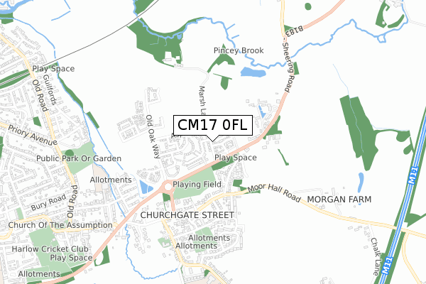 CM17 0FL map - small scale - OS Open Zoomstack (Ordnance Survey)