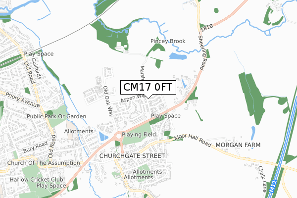 CM17 0FT map - small scale - OS Open Zoomstack (Ordnance Survey)