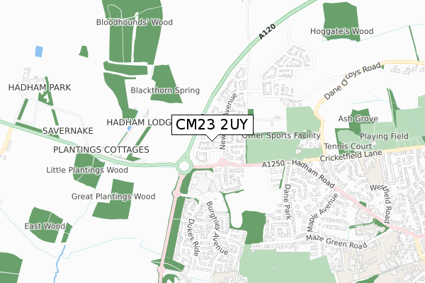 CM23 2UY map - small scale - OS Open Zoomstack (Ordnance Survey)