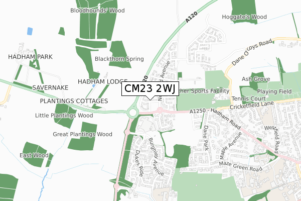 CM23 2WJ map - small scale - OS Open Zoomstack (Ordnance Survey) CM23 2WJ map - small scale - OS Open Zoomstack (Ordnance Survey)