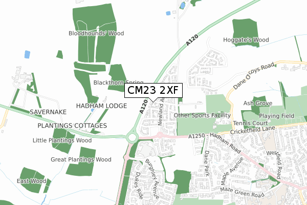 CM23 2XF map - small scale - OS Open Zoomstack (Ordnance Survey) CM23 2XF map - small scale - OS Open Zoomstack (Ordnance Survey)