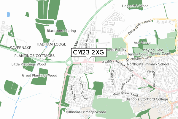 CM23 2XG map - small scale - OS Open Zoomstack (Ordnance Survey)