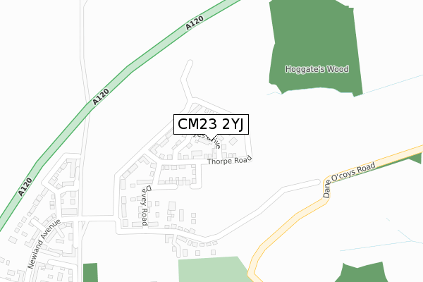 CM23 2YJ map - large scale - OS Open Zoomstack (Ordnance Survey) CM23 2YJ map - large scale - OS Open Zoomstack (Ordnance Survey)
