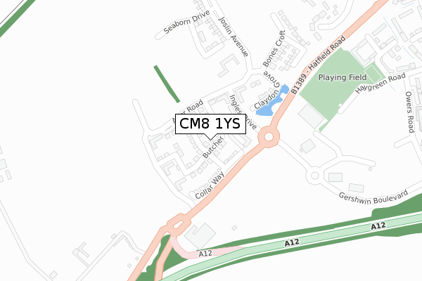 CM8 1YS map - large scale - OS Open Zoomstack (Ordnance Survey)