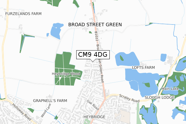 CM9 4DG map - small scale - OS Open Zoomstack (Ordnance Survey)