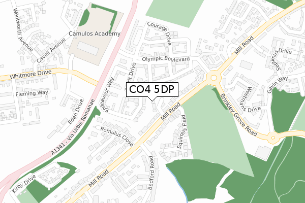 CO4 5DP map - large scale - OS Open Zoomstack (Ordnance Survey)