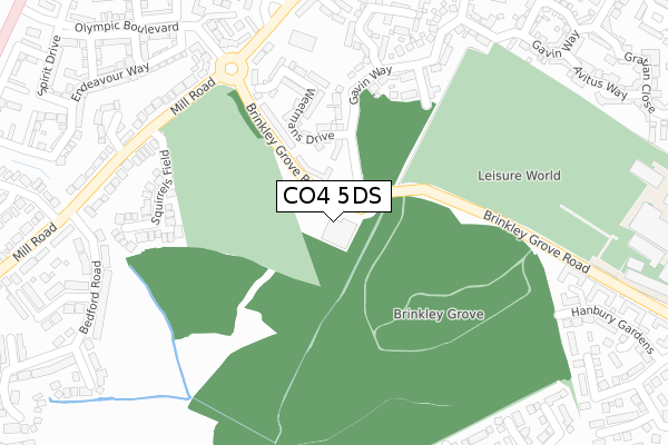 CO4 5DS map - large scale - OS Open Zoomstack (Ordnance Survey)
