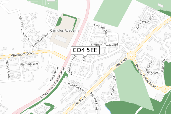 CO4 5EE map - large scale - OS Open Zoomstack (Ordnance Survey)