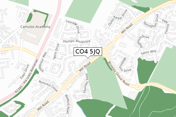 CO4 5JQ map - large scale - OS Open Zoomstack (Ordnance Survey)