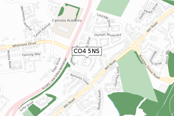 CO4 5NS map - large scale - OS Open Zoomstack (Ordnance Survey)