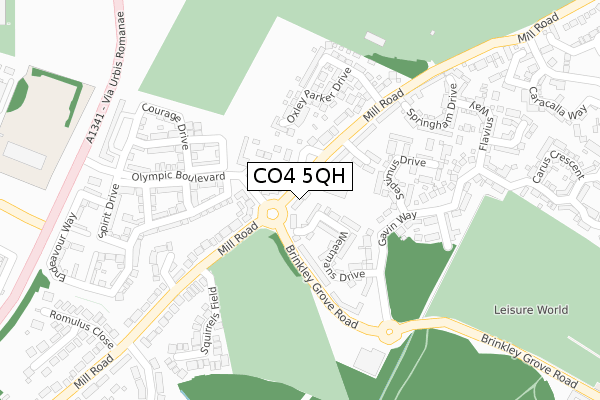 CO4 5QH map - large scale - OS Open Zoomstack (Ordnance Survey)