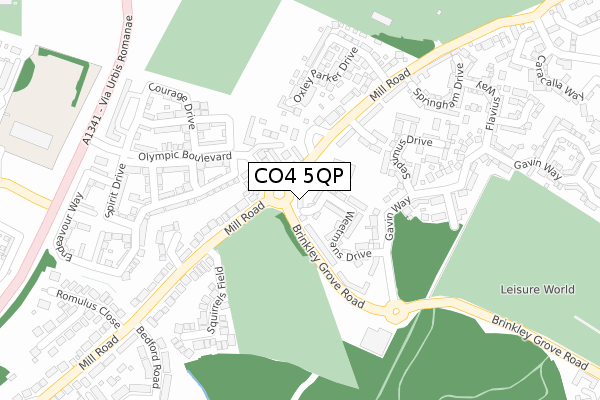 CO4 5QP map - large scale - OS Open Zoomstack (Ordnance Survey)