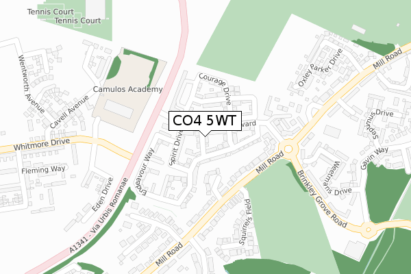 CO4 5WT map - large scale - OS Open Zoomstack (Ordnance Survey)