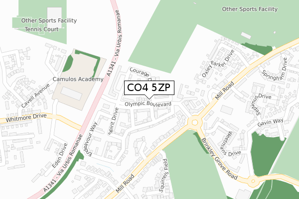 CO4 5ZP map - large scale - OS Open Zoomstack (Ordnance Survey)