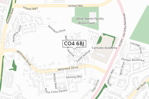 CO4 6BJ map - large scale - OS Open Zoomstack (Ordnance Survey)