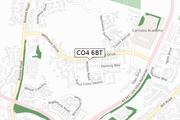 CO4 6BT map - large scale - OS Open Zoomstack (Ordnance Survey)