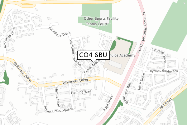 CO4 6BU map - large scale - OS Open Zoomstack (Ordnance Survey)