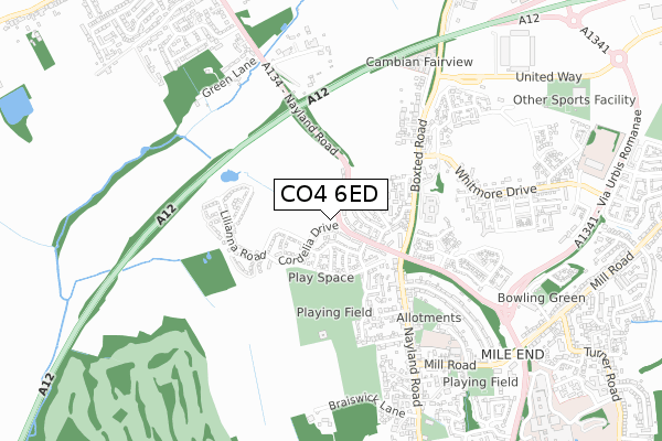 CO4 6ED map - small scale - OS Open Zoomstack (Ordnance Survey)