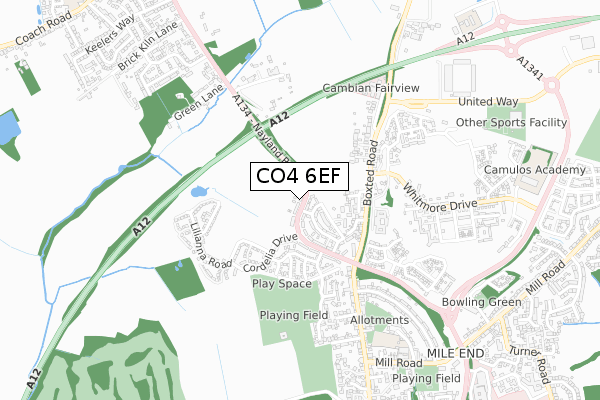CO4 6EF map - small scale - OS Open Zoomstack (Ordnance Survey)