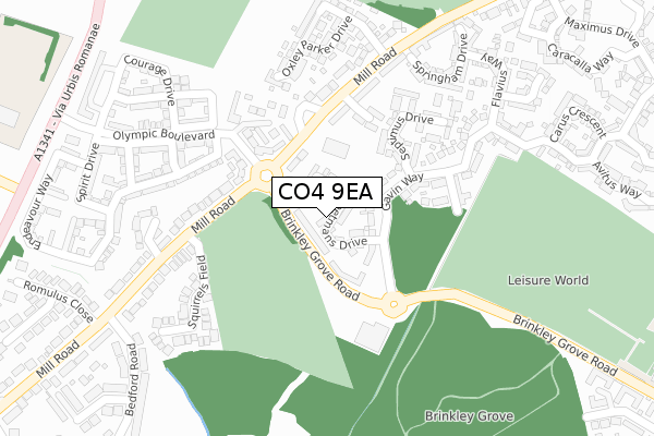 CO4 9EA map - large scale - OS Open Zoomstack (Ordnance Survey)