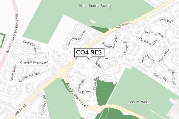 CO4 9ES map - large scale - OS Open Zoomstack (Ordnance Survey)