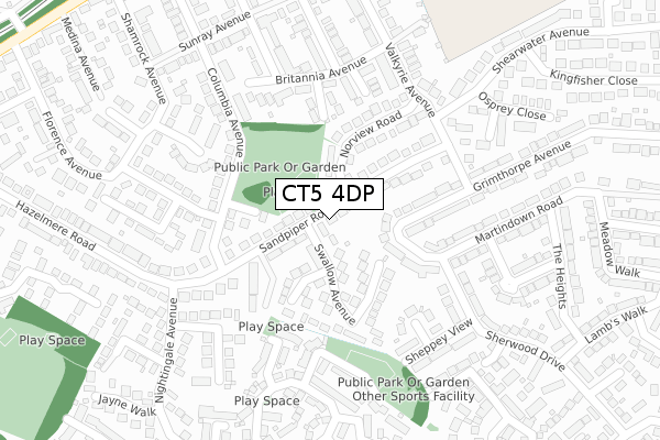 CT5 4DP map - large scale - OS Open Zoomstack (Ordnance Survey)