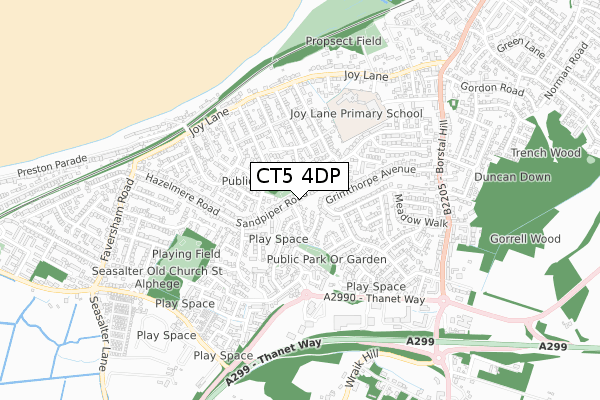 CT5 4DP map - small scale - OS Open Zoomstack (Ordnance Survey)