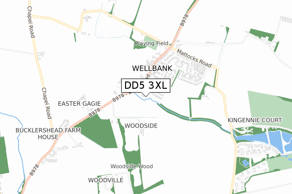 DD5 3XL map - small scale - OS Open Zoomstack (Ordnance Survey)