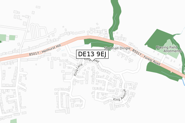 DE13 9EJ map - large scale - OS Open Zoomstack (Ordnance Survey)
