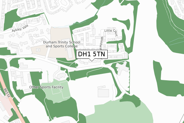 DH1 5TN map - large scale - OS Open Zoomstack (Ordnance Survey)