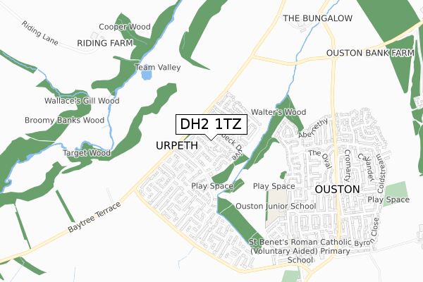 DH2 1TZ map - small scale - OS Open Zoomstack (Ordnance Survey)