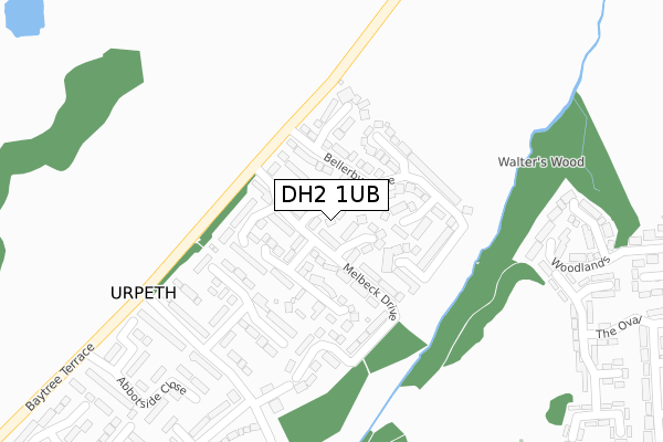 DH2 1UB map - large scale - OS Open Zoomstack (Ordnance Survey)