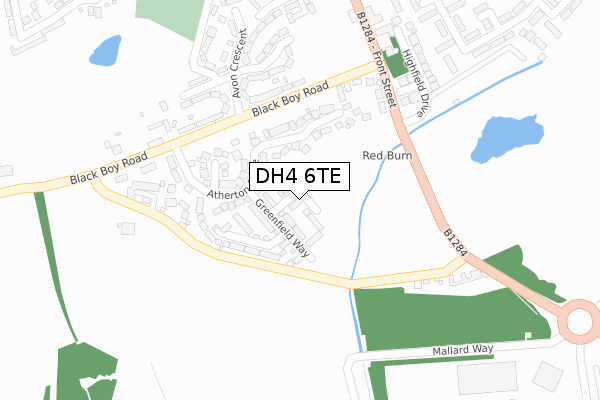 DH4 6TE map - large scale - OS Open Zoomstack (Ordnance Survey)