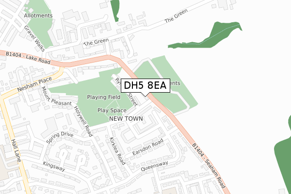 DH5 8EA map - large scale - OS Open Zoomstack (Ordnance Survey)