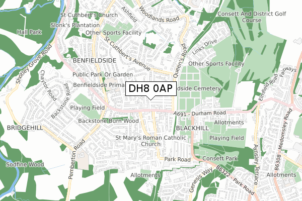 DH8 0AP map - small scale - OS Open Zoomstack (Ordnance Survey)