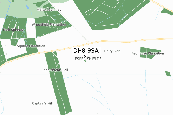 DH8 9SA map - small scale - OS Open Zoomstack (Ordnance Survey)