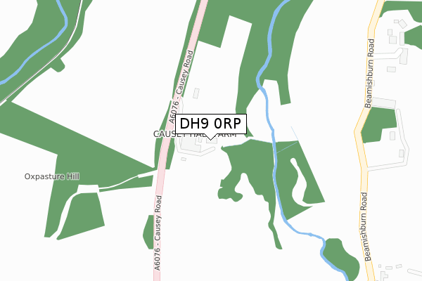 DH9 0RP map - large scale - OS Open Zoomstack (Ordnance Survey)