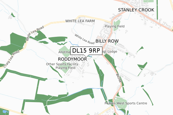 DL15 9RP map - small scale - OS Open Zoomstack (Ordnance Survey)