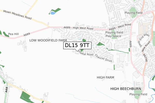 DL15 9TT map - small scale - OS Open Zoomstack (Ordnance Survey)