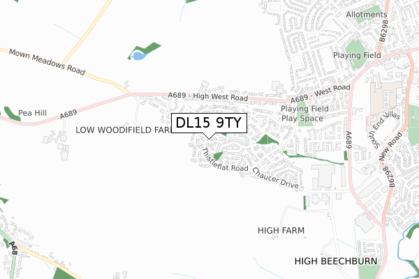 DL15 9TY map - small scale - OS Open Zoomstack (Ordnance Survey)