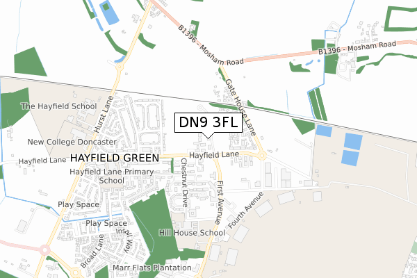 DN9 3FL map - small scale - OS Open Zoomstack (Ordnance Survey)