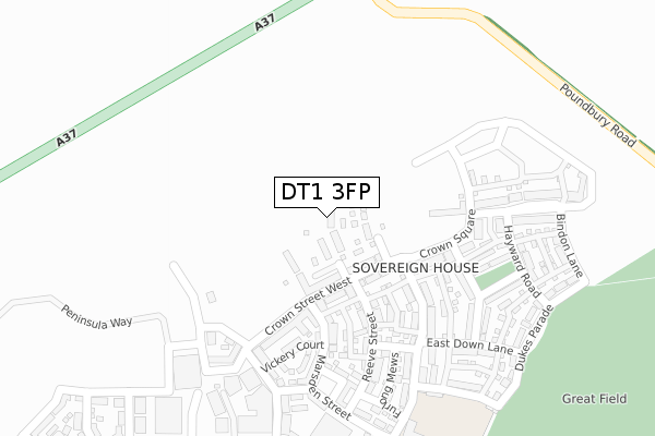 DT1 3FP map - large scale - OS Open Zoomstack (Ordnance Survey)