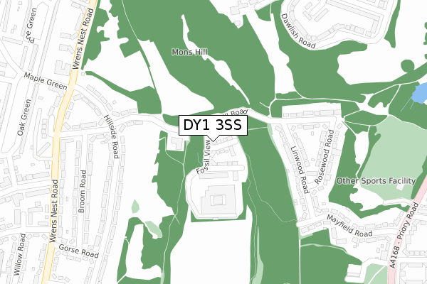 DY1 3SS map - large scale - OS Open Zoomstack (Ordnance Survey)