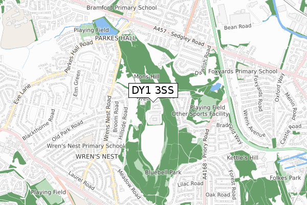 DY1 3SS map - small scale - OS Open Zoomstack (Ordnance Survey)