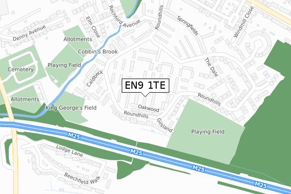 EN9 1TE map - large scale - OS Open Zoomstack (Ordnance Survey)