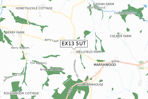 EX13 5UT map - small scale - OS Open Zoomstack (Ordnance Survey)