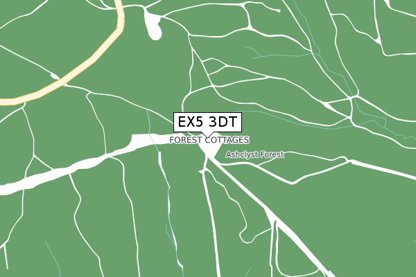 EX5 3DT map - large scale - OS Open Zoomstack (Ordnance Survey)